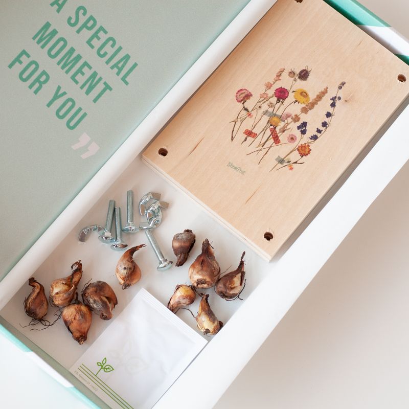 BLOOMBOTANICAL-blomsterlökar-gåvor