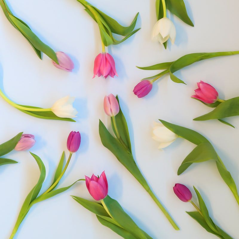 BLANDADE-PASTELL-TULPANER-brevlåda-blommor