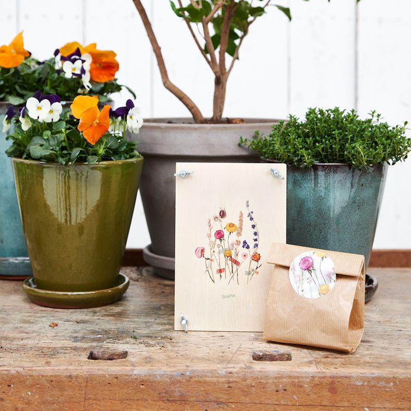 BLOOMBOTANICAL-blomsterlökar-gåvor