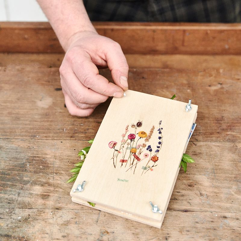 BLOOMBOTANICAL-blomsterlökar-gåvor