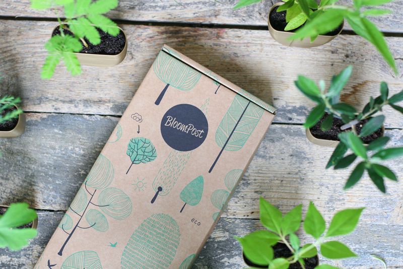 backend-media_library.no_image_found