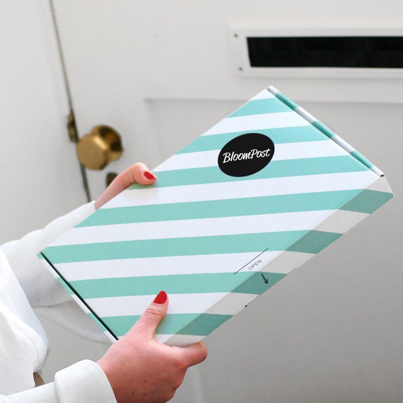 backend-media_library.no_image_found