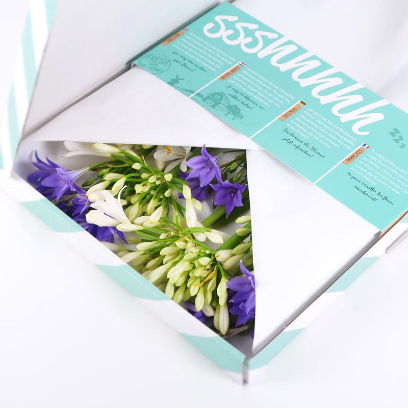 backend-media_library.no_image_found