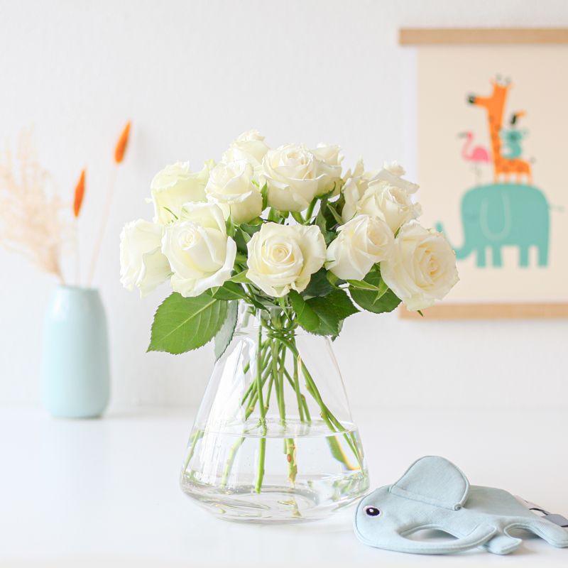 backend-media_library.no_image_found