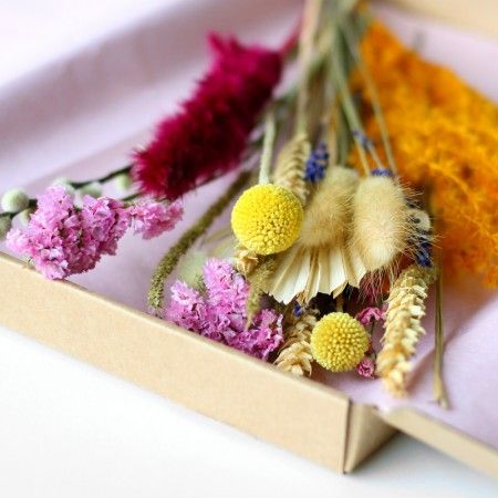 backend-media_library.no_image_found