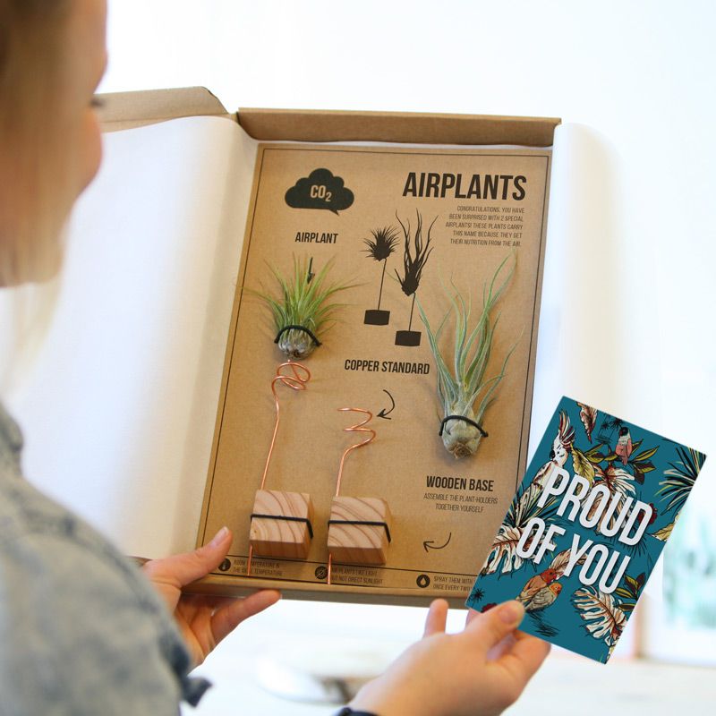 backend-media_library.no_image_found