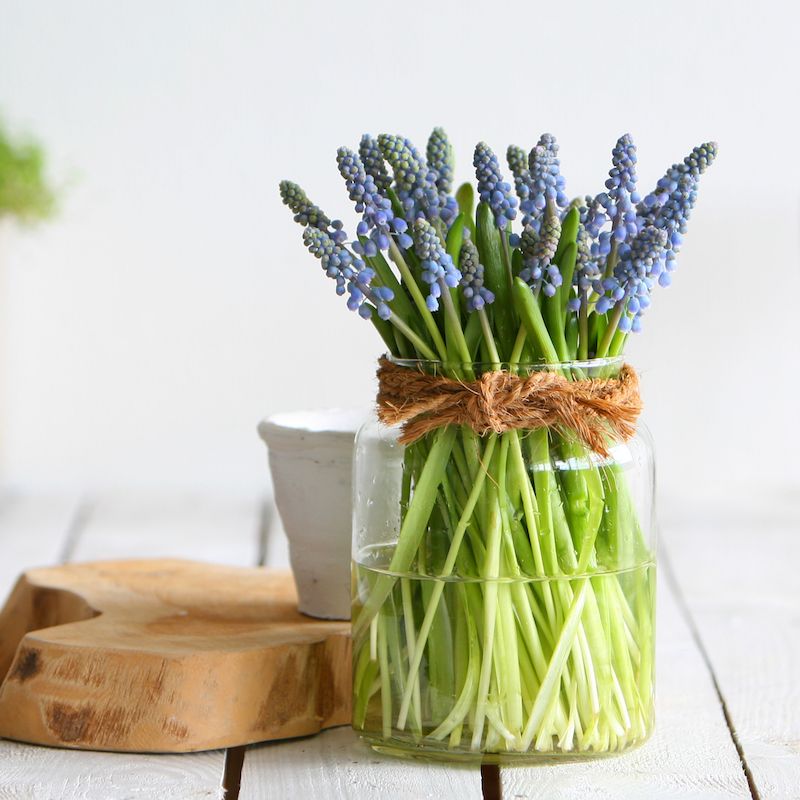 backend-media_library.no_image_found