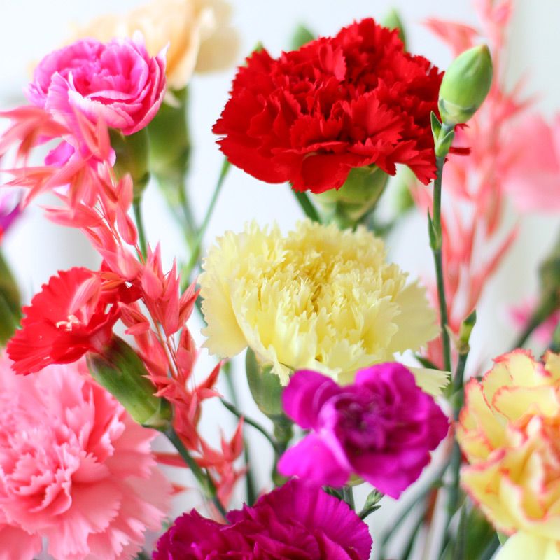 backend-media_library.no_image_found