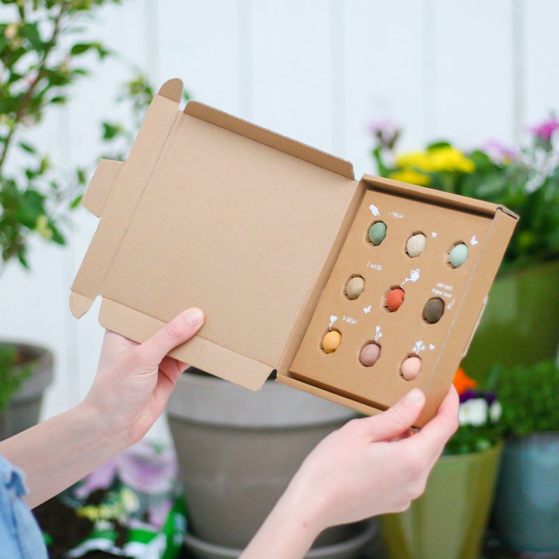 backend-media_library.no_image_found