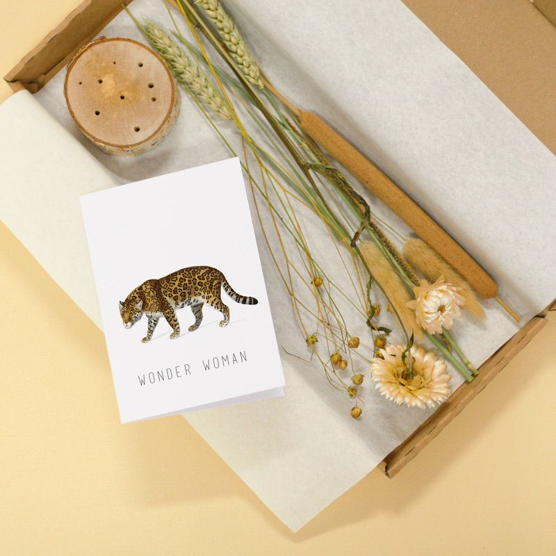 backend-media_library.no_image_found