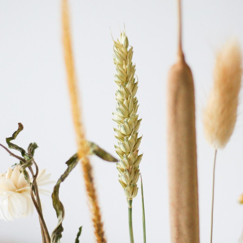 backend-media_library.no_image_found