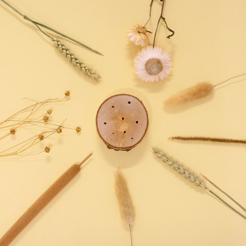 backend-media_library.no_image_found