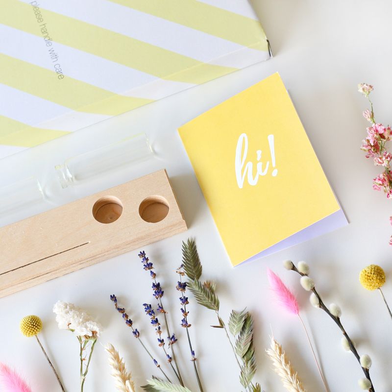 backend-media_library.no_image_found