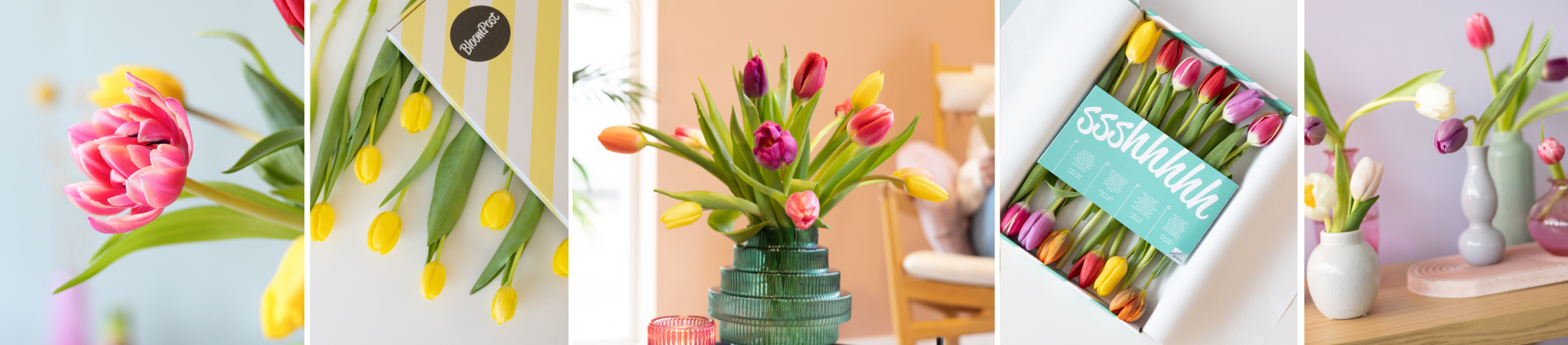 tulpen