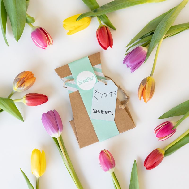 backend-media_library.no_image_found