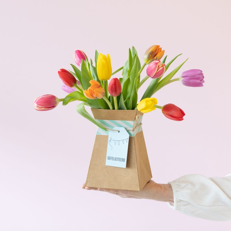 backend-media_library.no_image_found