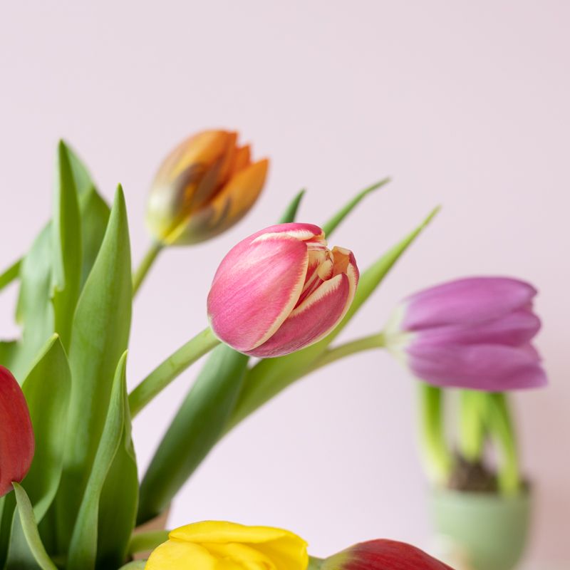 backend-media_library.no_image_found