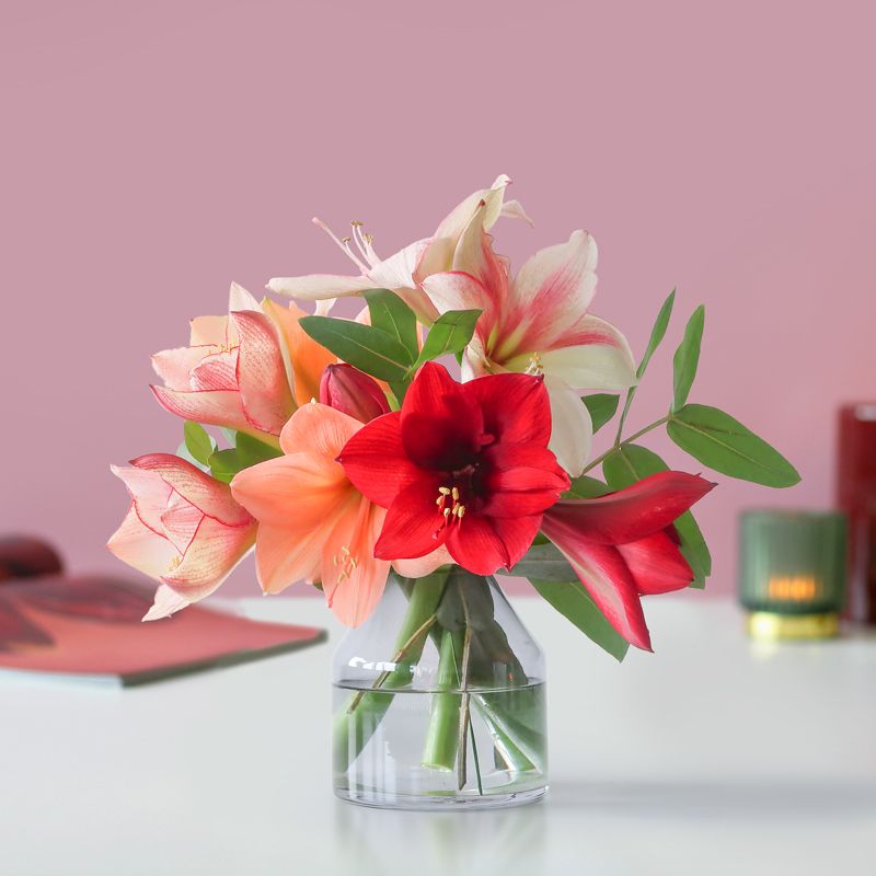 backend-media_library.no_image_found