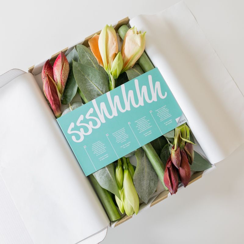 backend-media_library.no_image_found