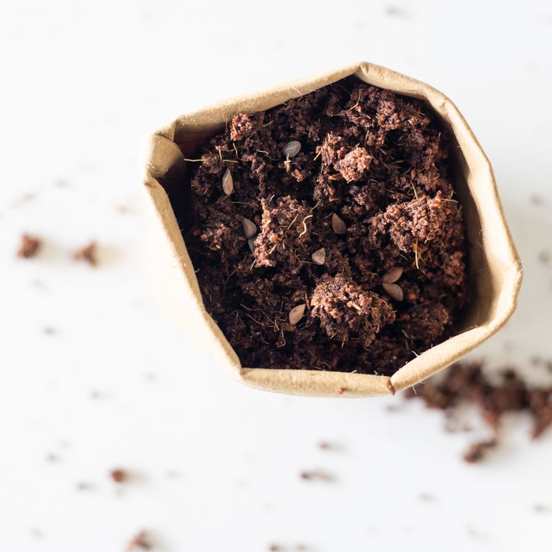 backend-media_library.no_image_found