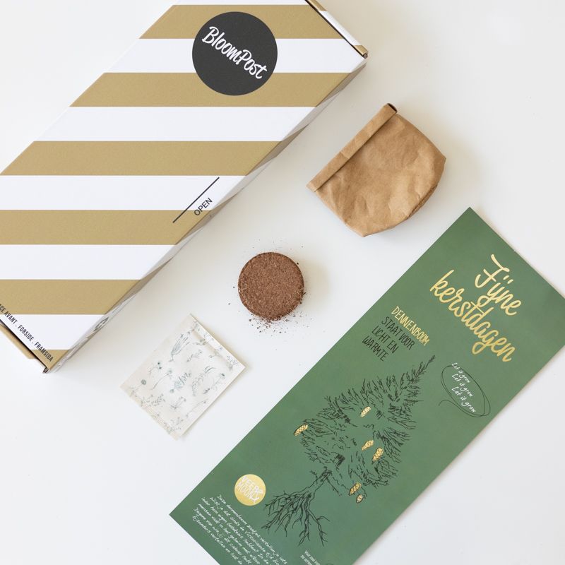 backend-media_library.no_image_found