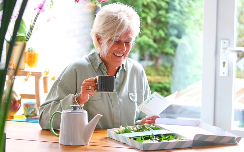 roze-rozen-brievenbus-bloemen