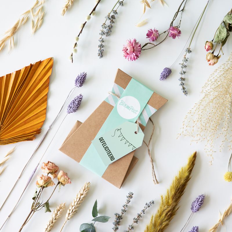 backend-media_library.no_image_found