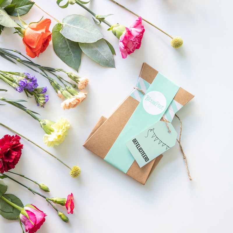 backend-media_library.no_image_found