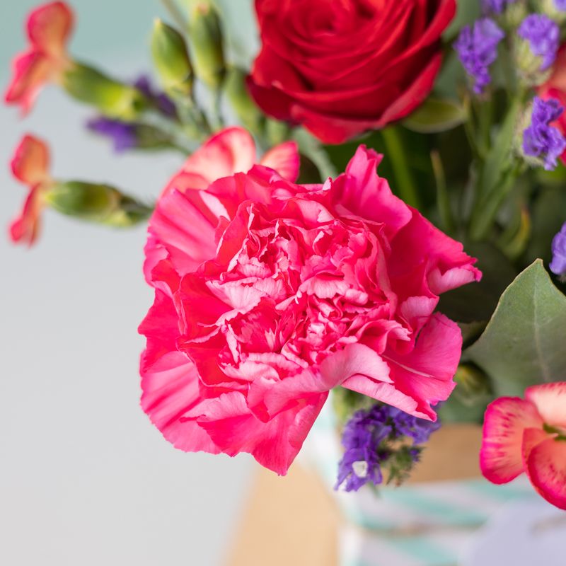 backend-media_library.no_image_found