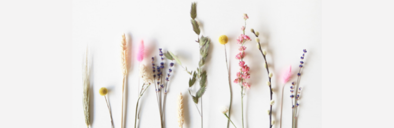 bloomemory-letterbox-dried-flowers