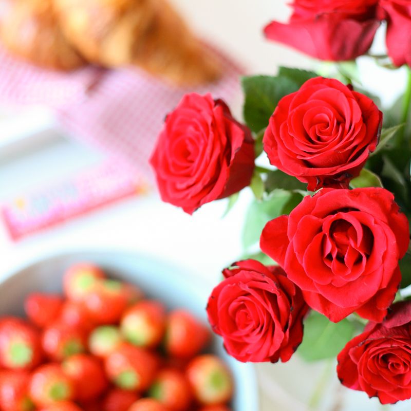 red-letterbox-roses-letterbox-flowers