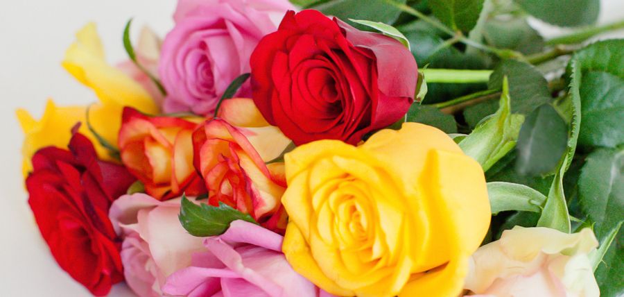 care-letterbox-flowers