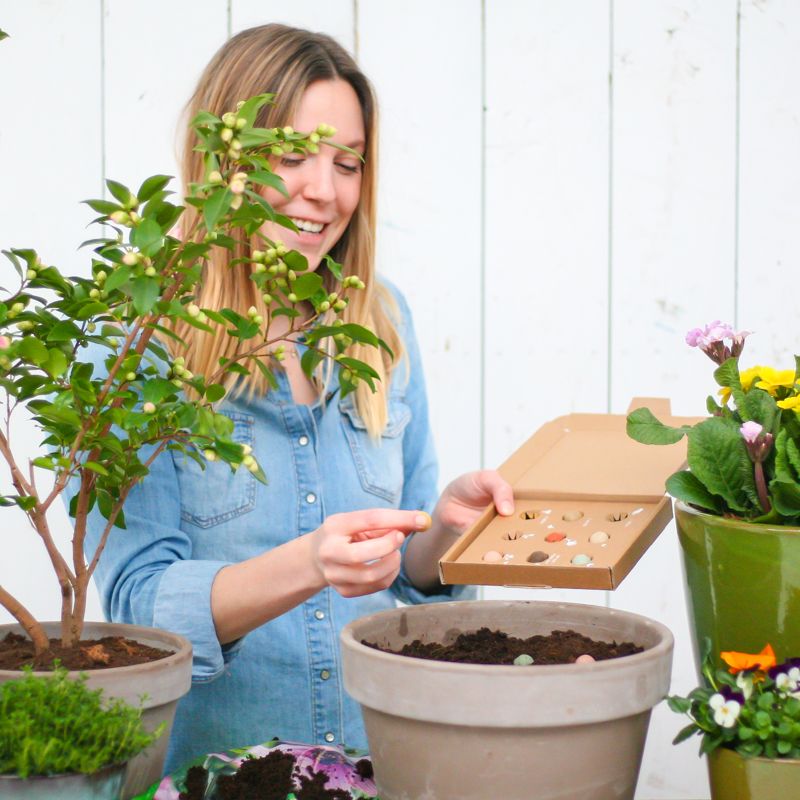 colour-garden-seeds-gifts