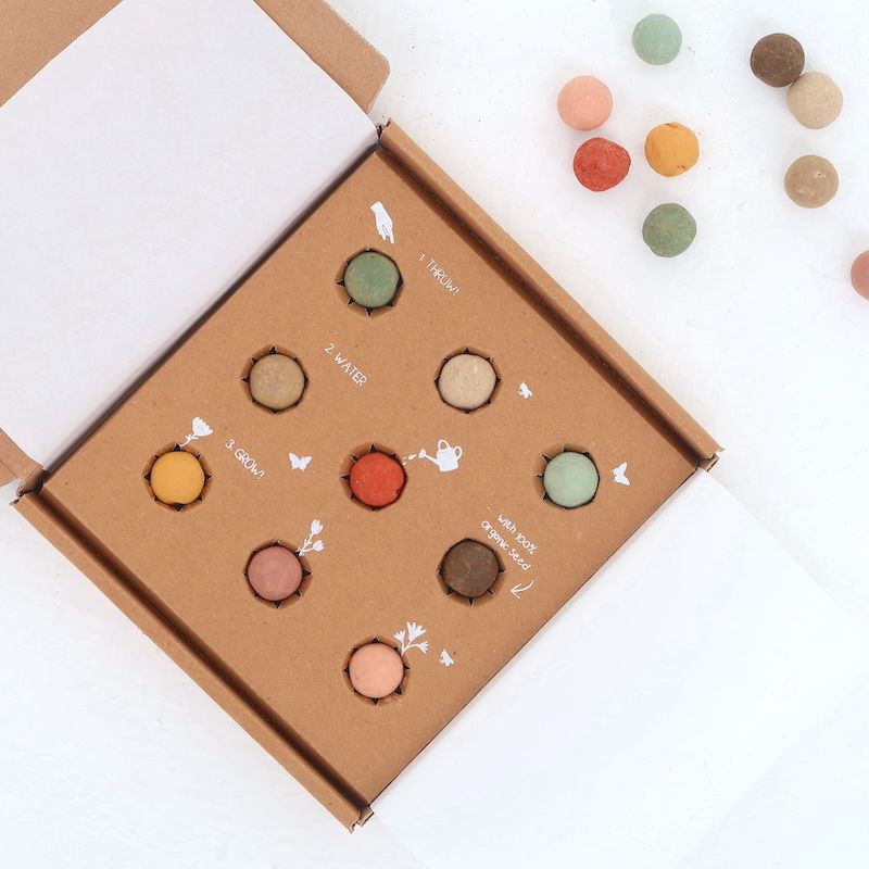 colour-garden-seeds-gifts