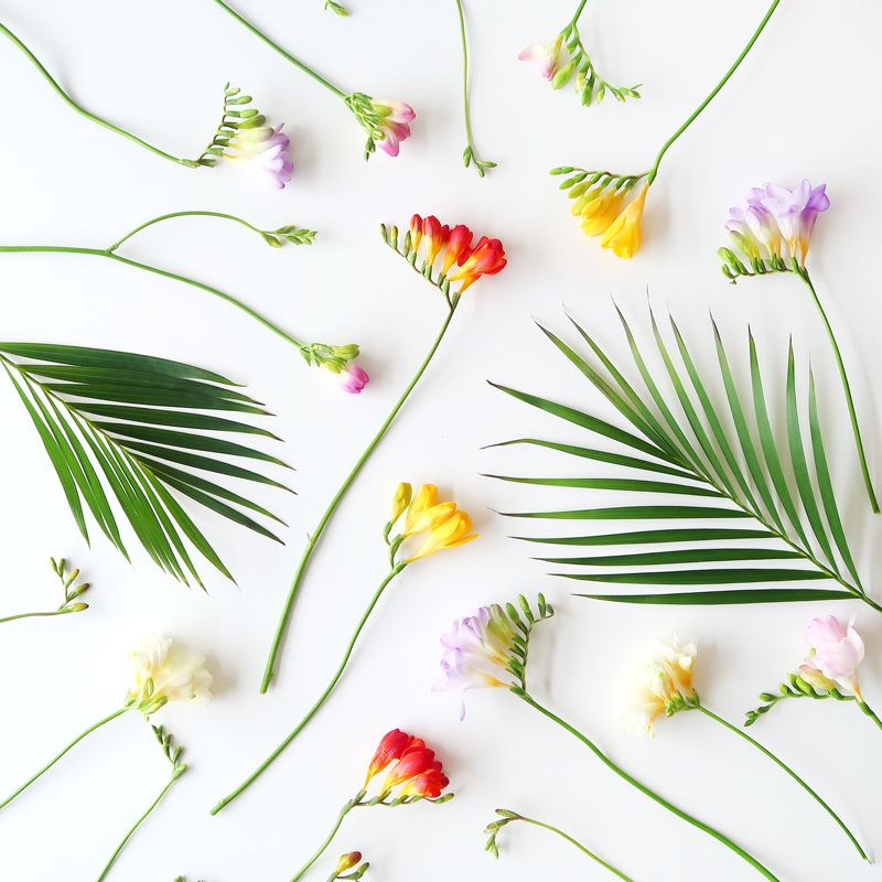 happy-breeze-letterbox-flowers