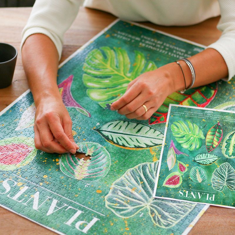 plant-puzzle-letterbox-gifts