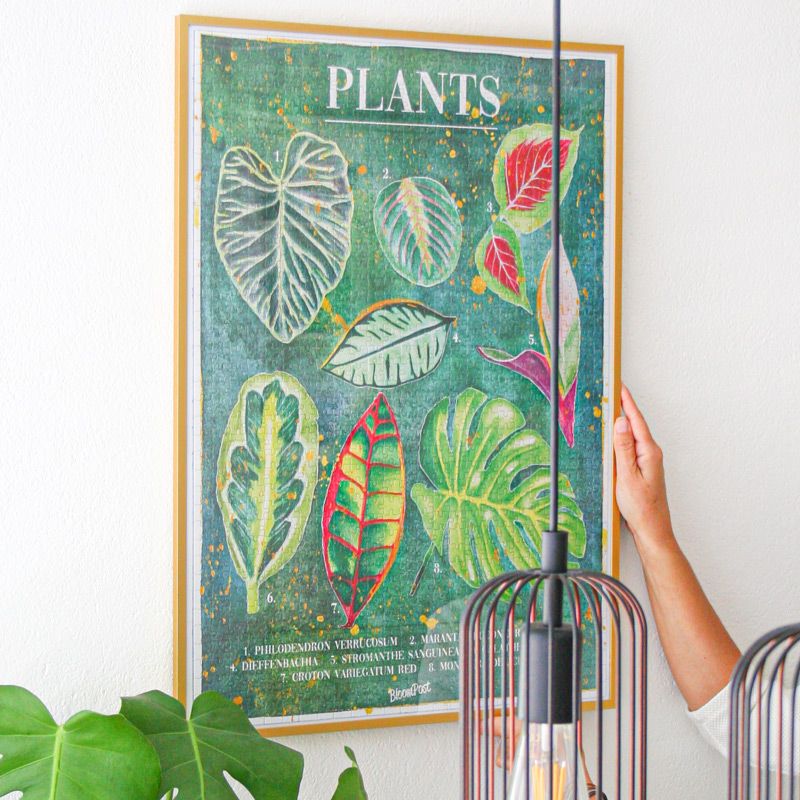 plant-puzzle-letterbox-gifts