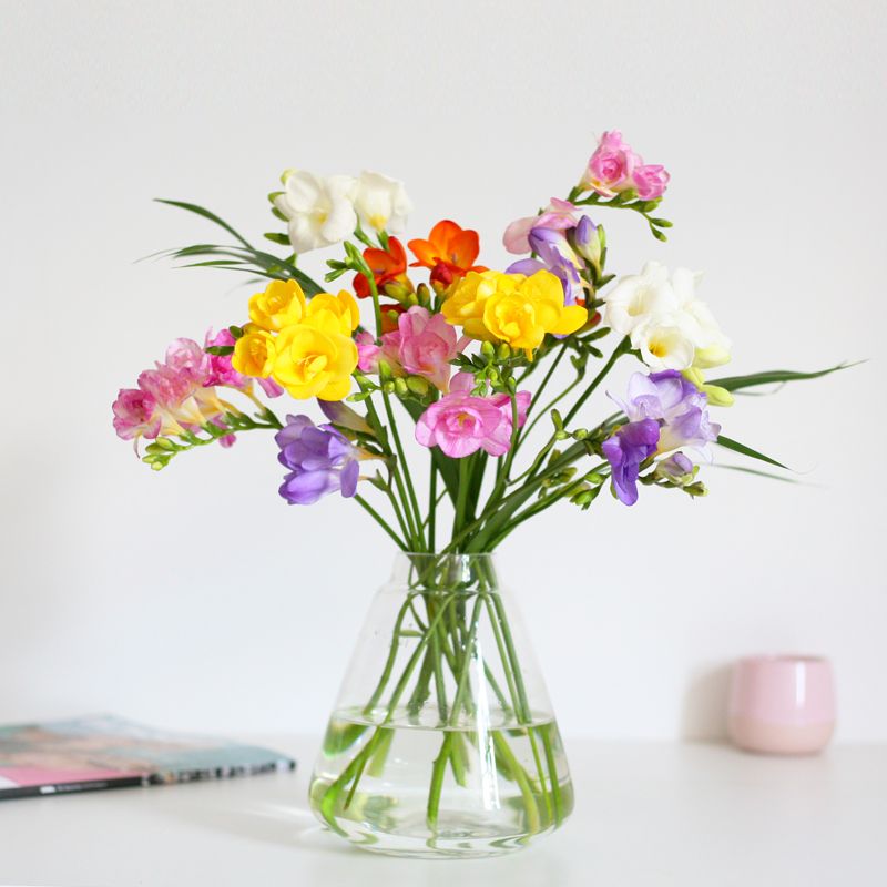 happy-breeze-letterbox-flowers