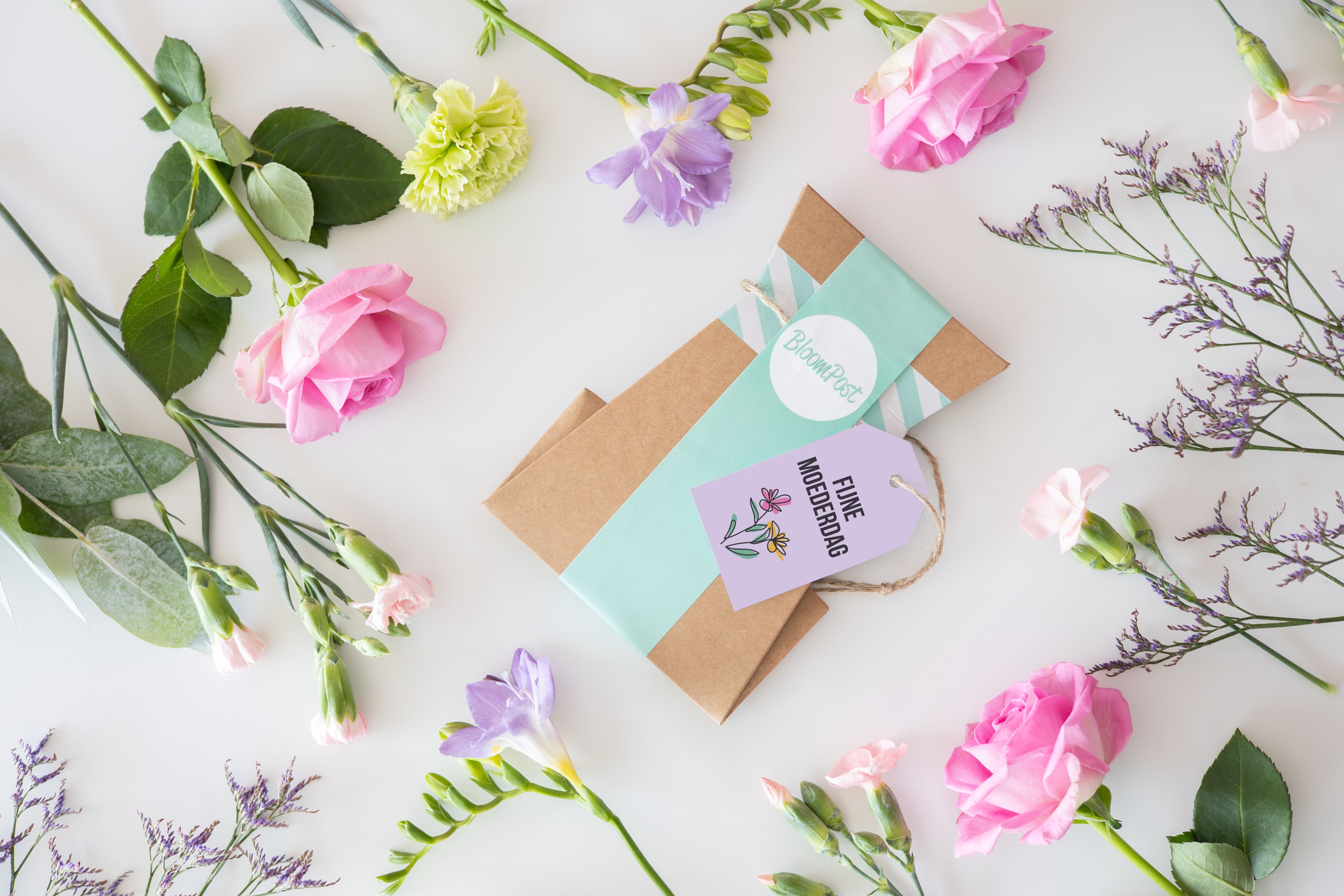 backend-media_library.no_image_found