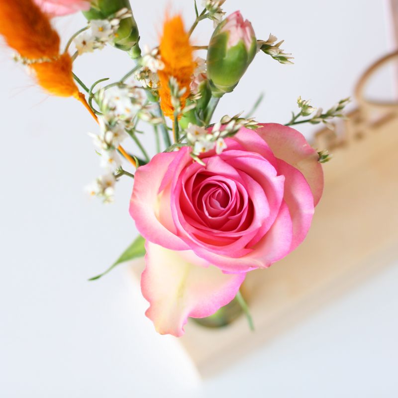 backend-media_library.no_image_found