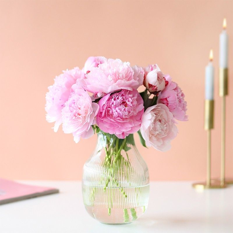 Roze pioenrozen in een glazen vaas