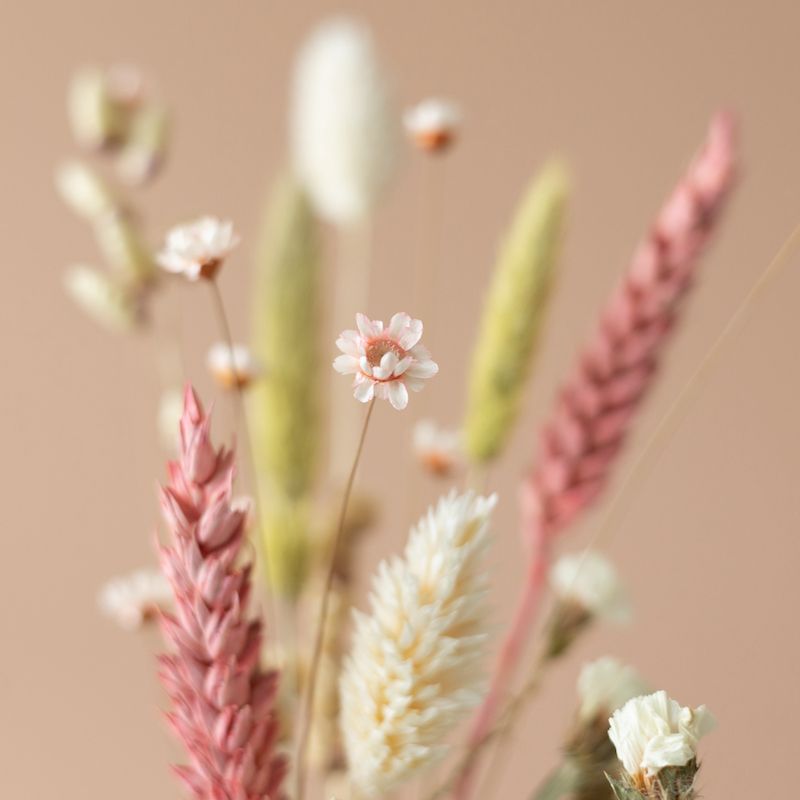 backend-media_library.no_image_found