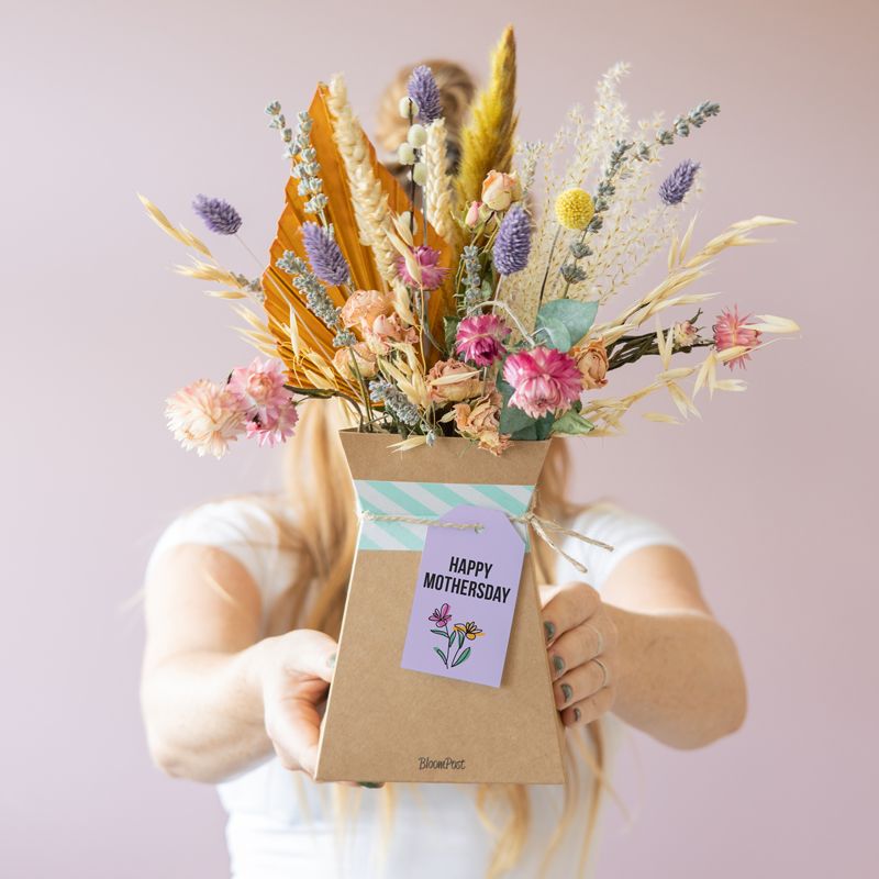 backend-media_library.no_image_found