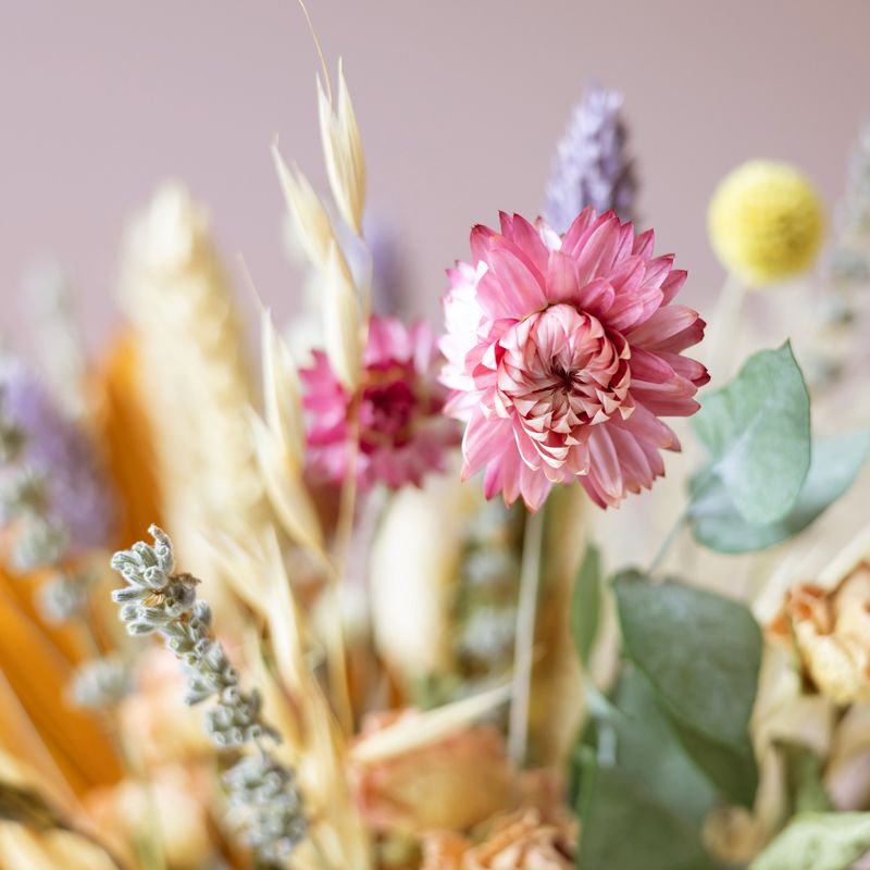 backend-media_library.no_image_found