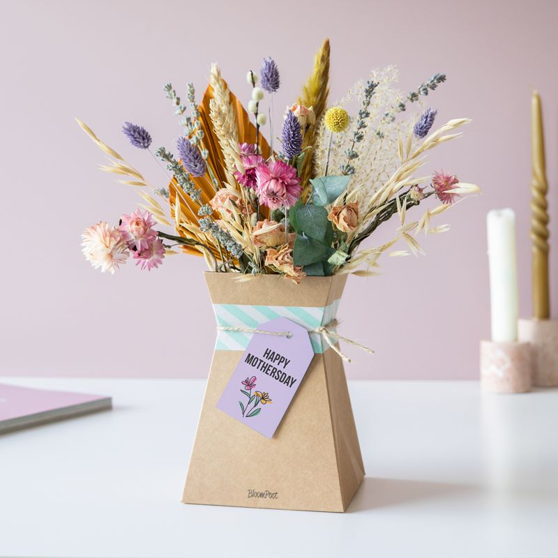 backend-media_library.no_image_found