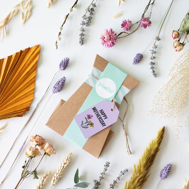 backend-media_library.no_image_found