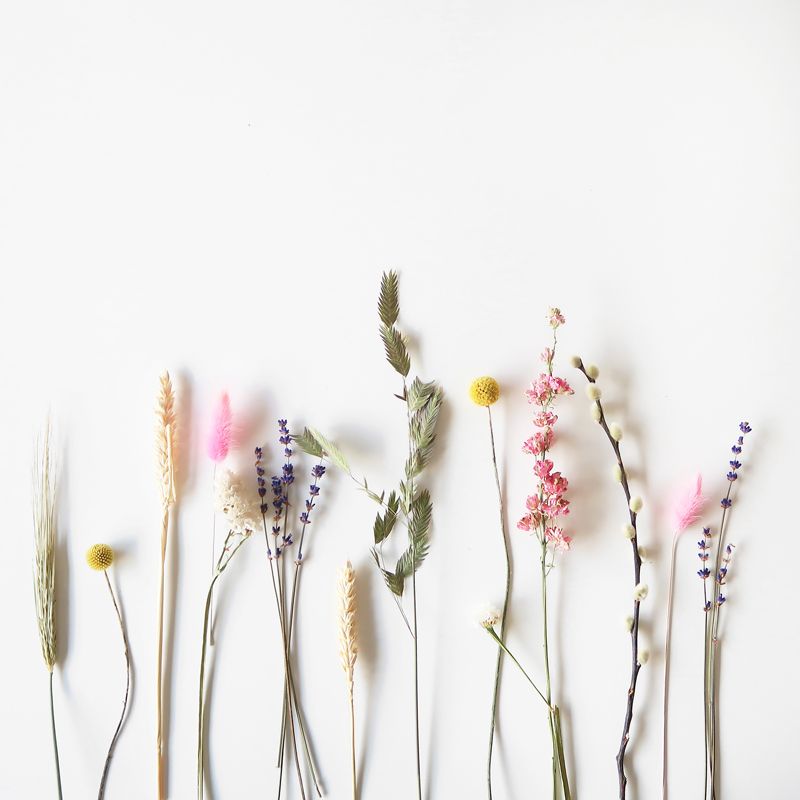 backend-media_library.no_image_found