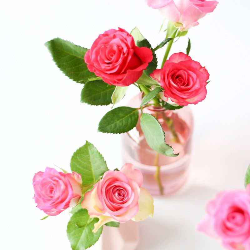 Brievenbuspakketje met verschillende tinten roze rozen