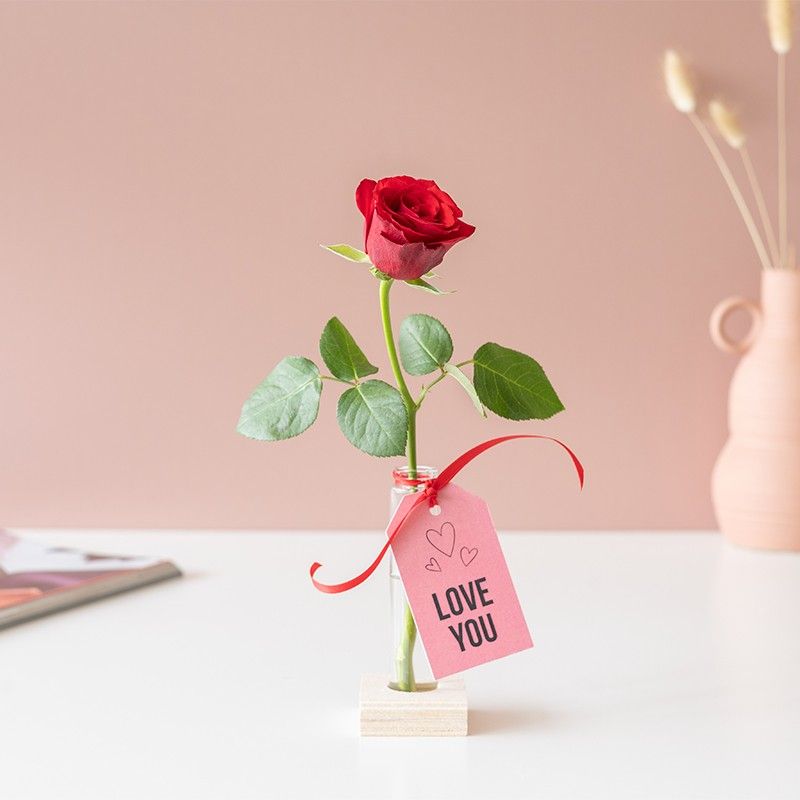 fresh-flowers-oh-so-cute