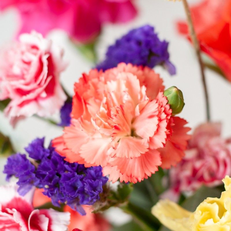 Brievenbuspakket met verschillende kleuren bloemen